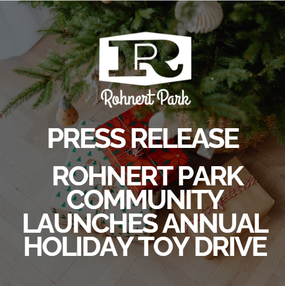 Screenshot 2025-11-19 162656